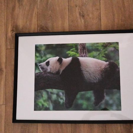 A 4 Min Du Zoo De Beauval La Maison A Partager Ch2 1Er Etage Saint-Aignan  Bagian luar foto