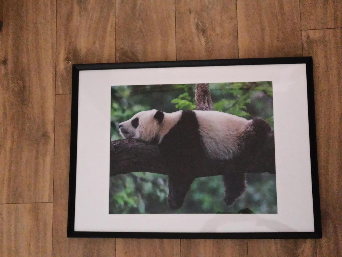 A 4 Min Du Zoo De Beauval La Maison A Partager Ch2 1Er Etage Saint-Aignan  Bagian luar foto