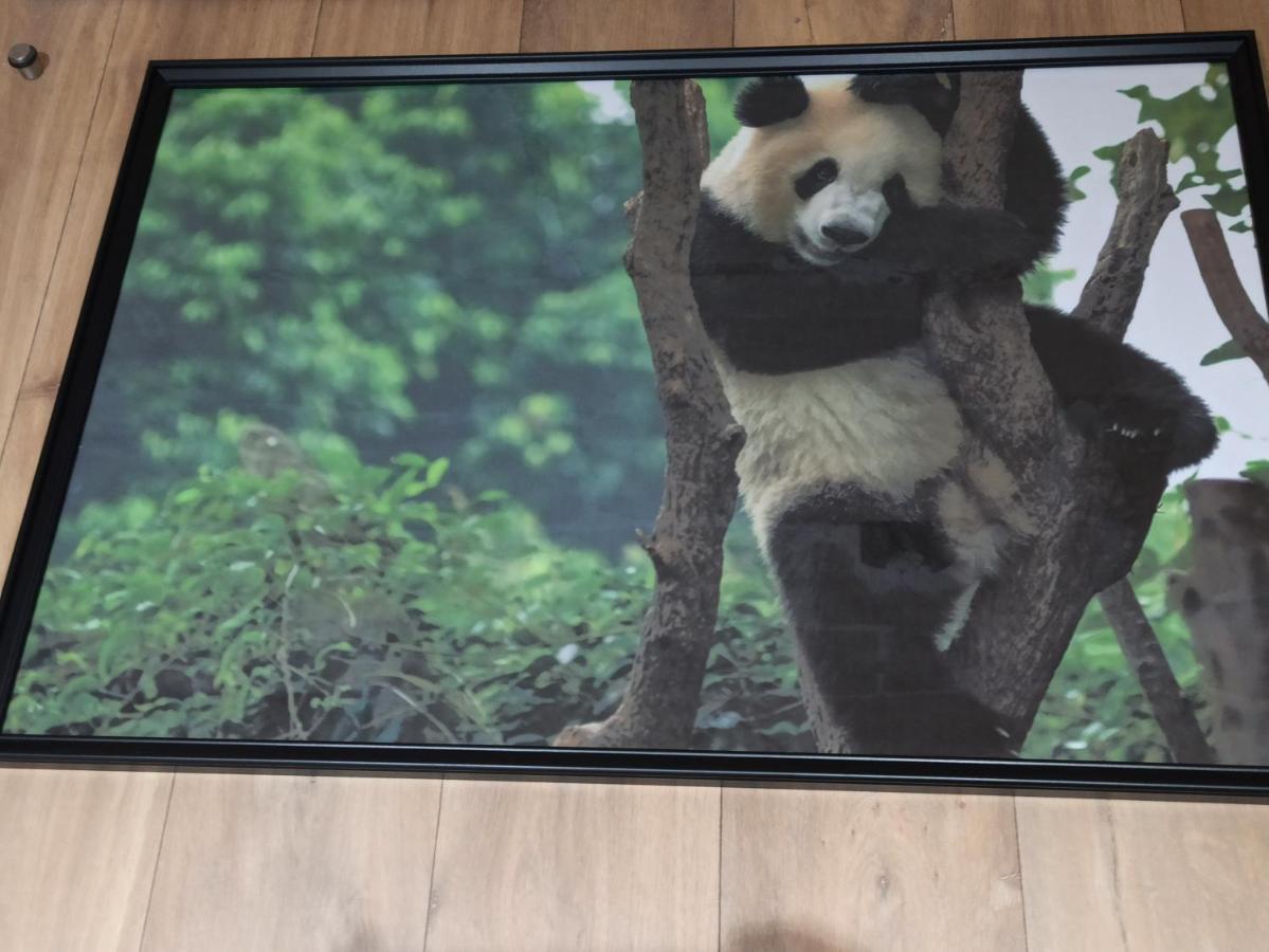 A 4 Min Du Zoo De Beauval La Maison A Partager Ch2 1Er Etage Saint-Aignan  Bagian luar foto